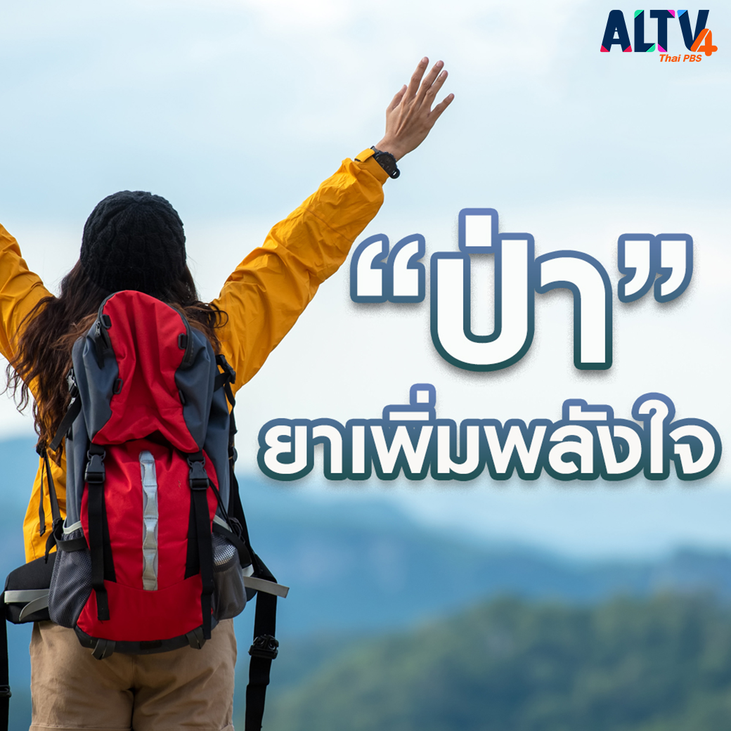 “ป่า”ยาเพิ่มพลังใจ