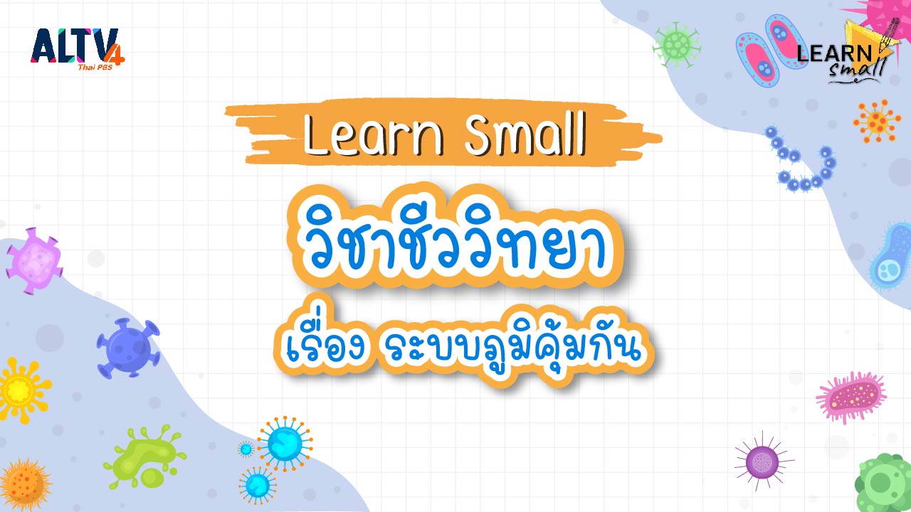 Learn Small วิชาชีววิทยา เรื่อง ระบบภูมิคุ้มกัน