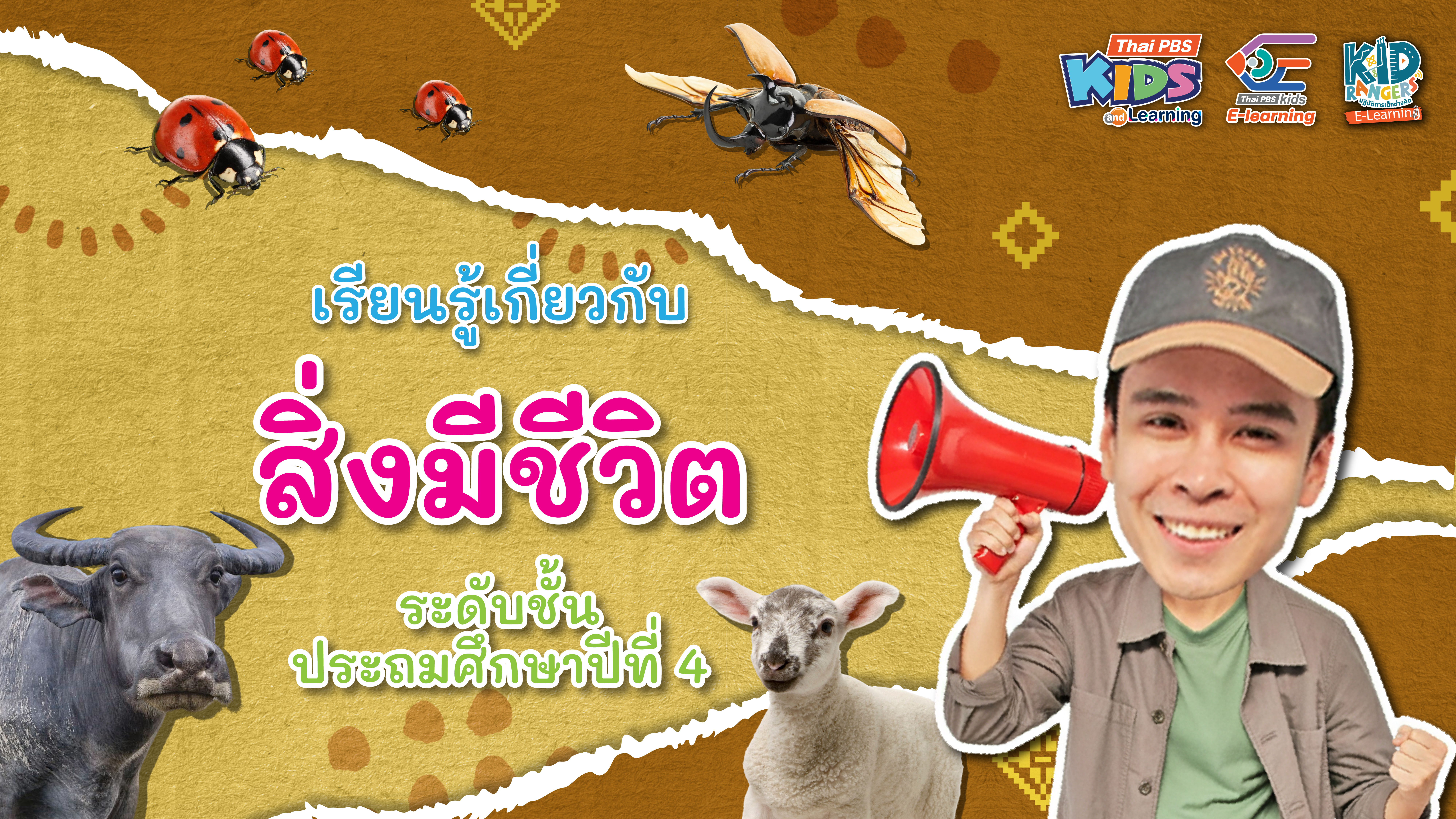 Kid Rangers E-Learning ตอน เรียนรู้เกี่ยวกับสิ่งมีชีวิต ระดับชั้นป.4-6