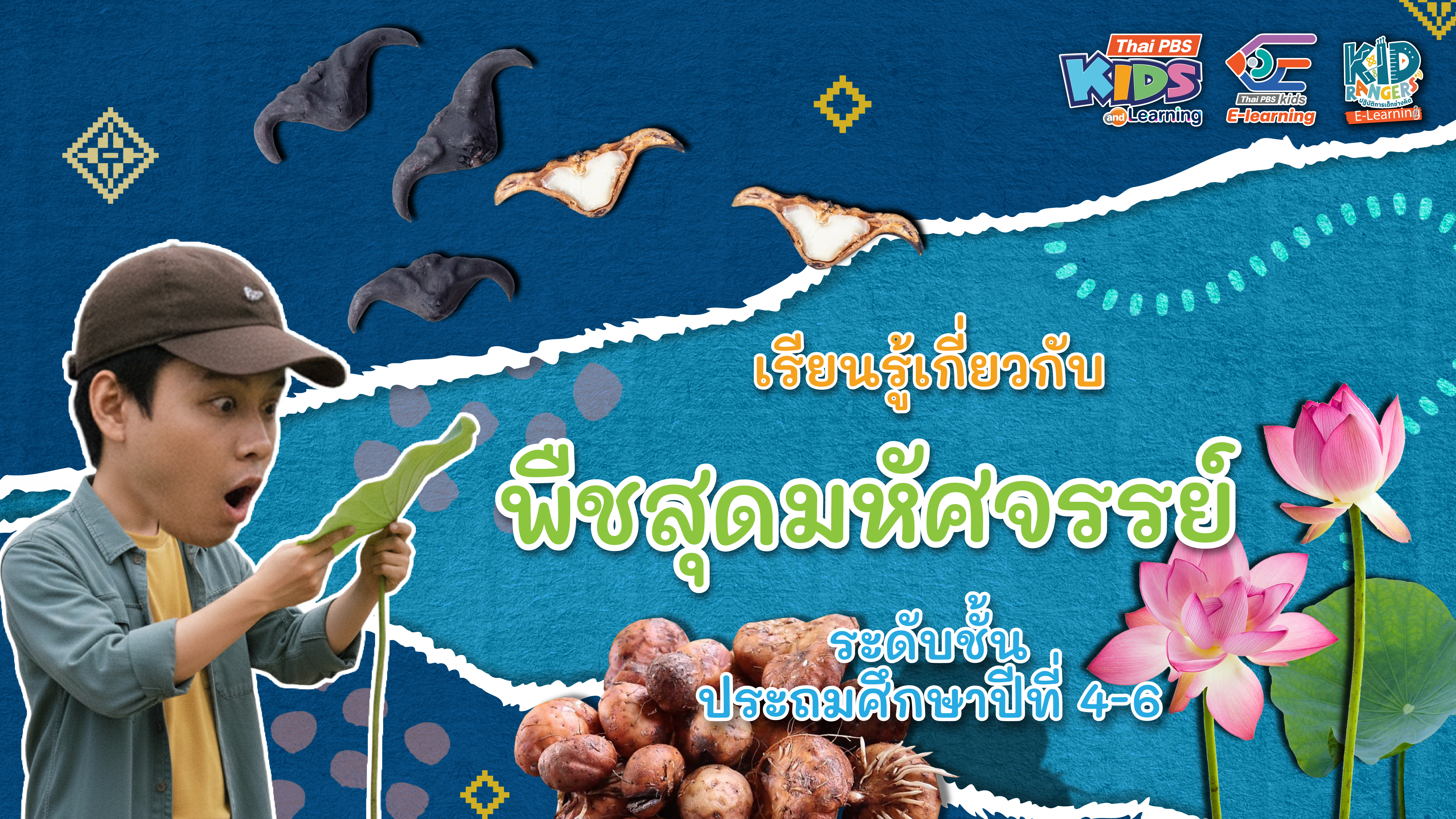 Kid Rangers E-Learning ตอน เรียนรู้เกี่ยวกับพืช ระดับชั้นป.4-6
